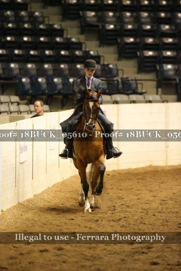 Proof 18BUCK_05610