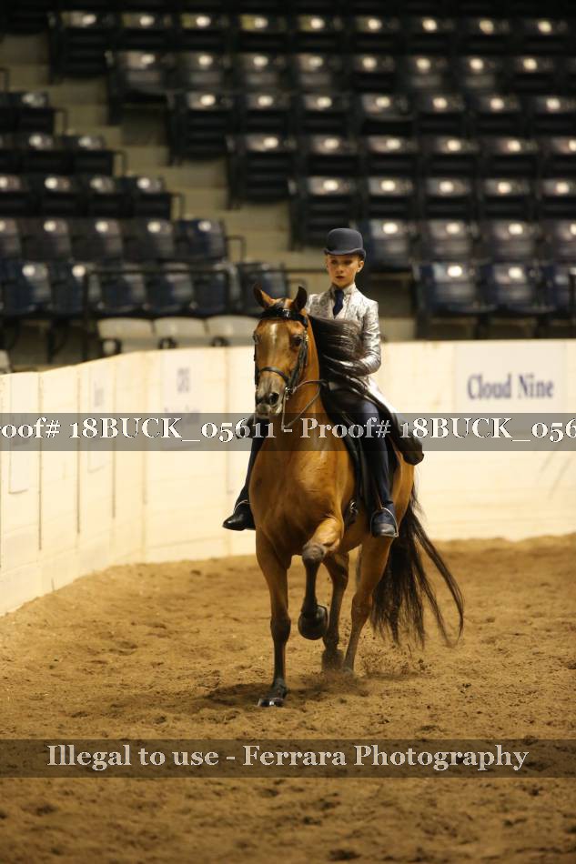 Proof 18BUCK_05611