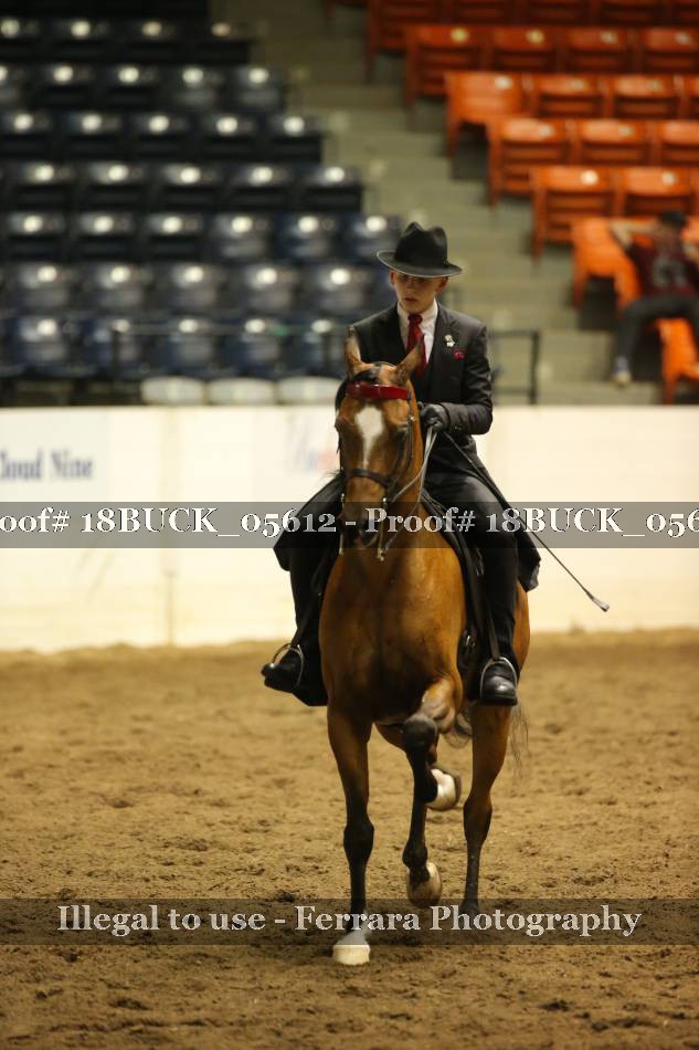 Proof 18BUCK_05612
