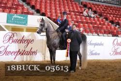 18BUCK_05613 proof