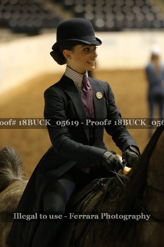Proof 18BUCK_05619
