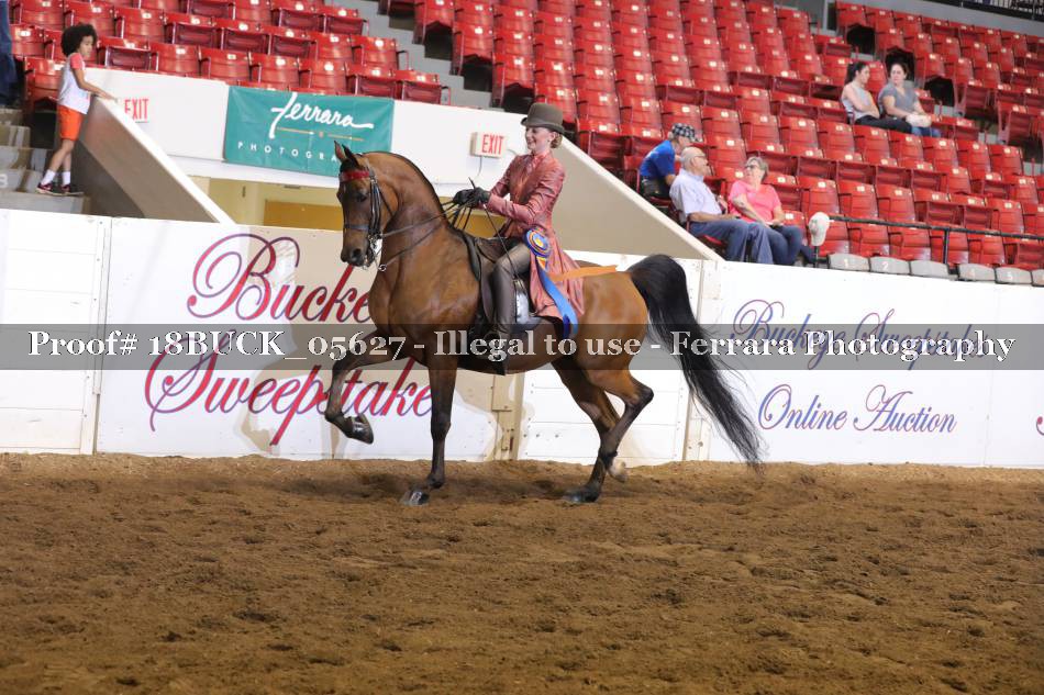 Proof 18BUCK_05627