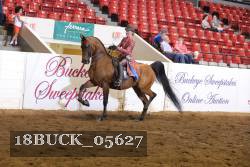 18BUCK_05627 proof