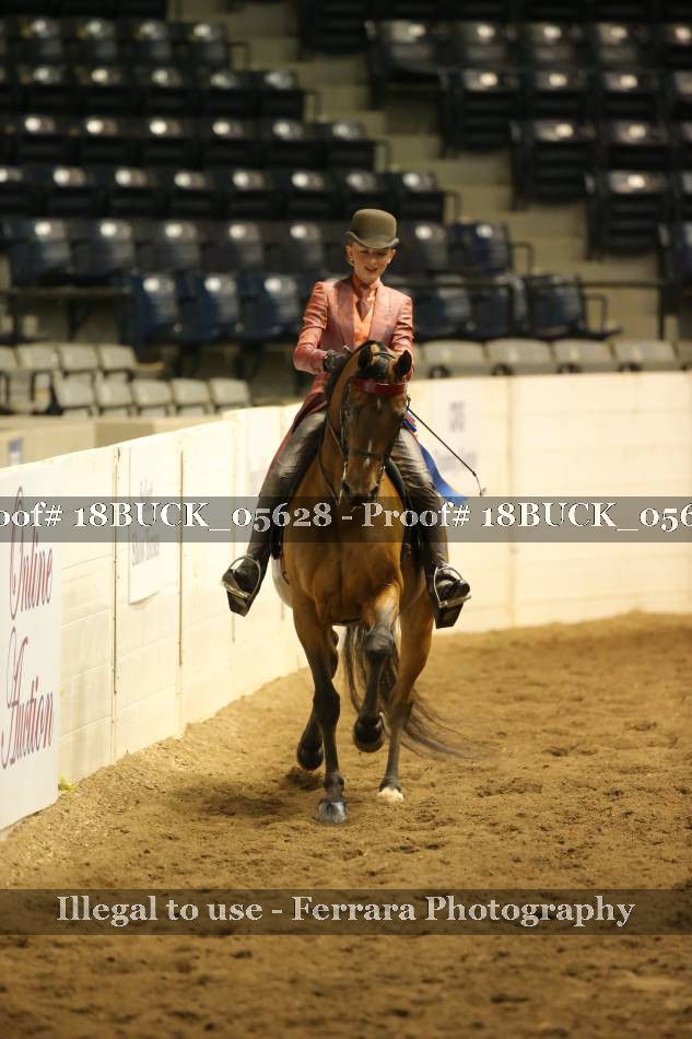 Proof 18BUCK_05628