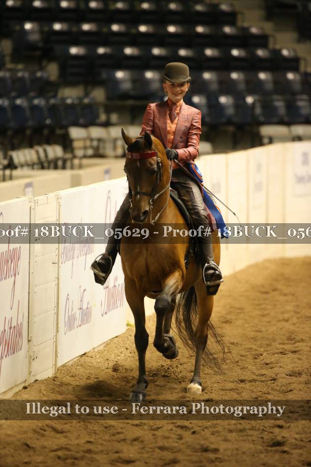 Proof 18BUCK_05629