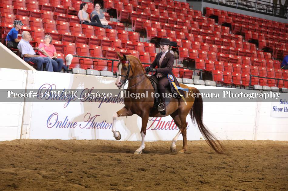 Proof 18BUCK_05630