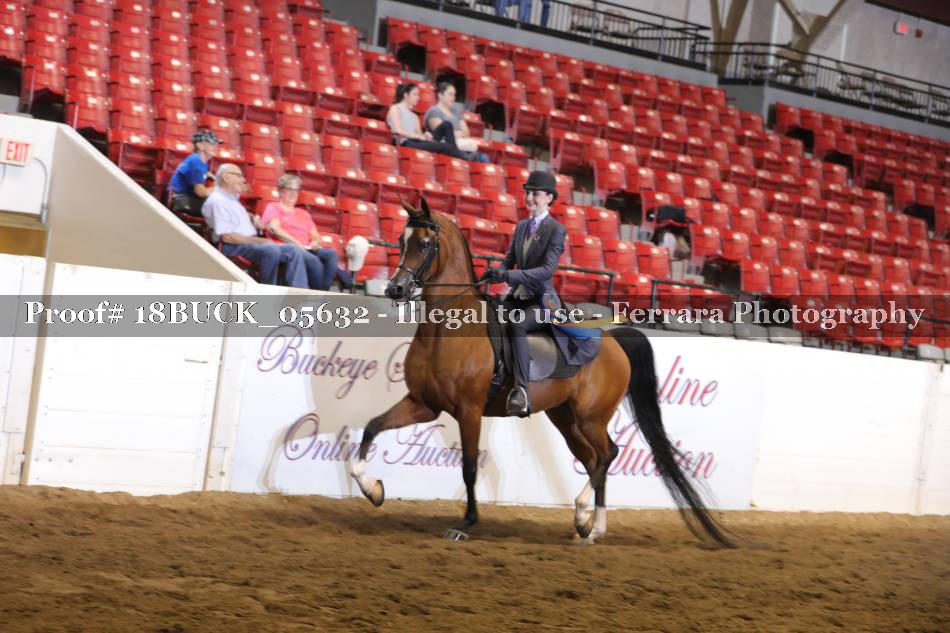 Proof 18BUCK_05632
