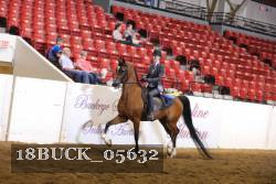 18BUCK_05632 proof