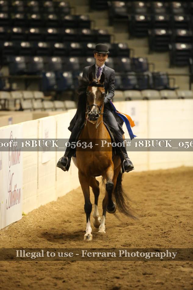 Proof 18BUCK_05634