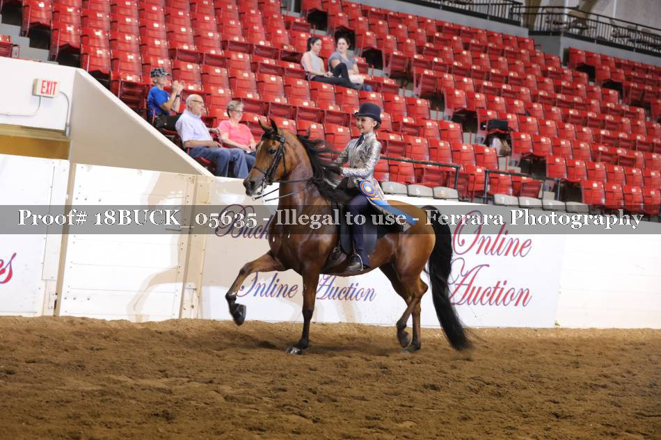 Proof 18BUCK_05635