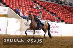 18BUCK_05635 proof