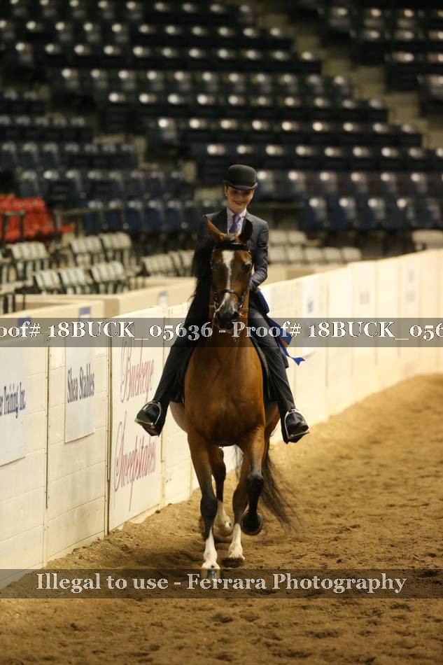 Proof 18BUCK_05636