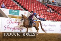 18BUCK_05642 proof