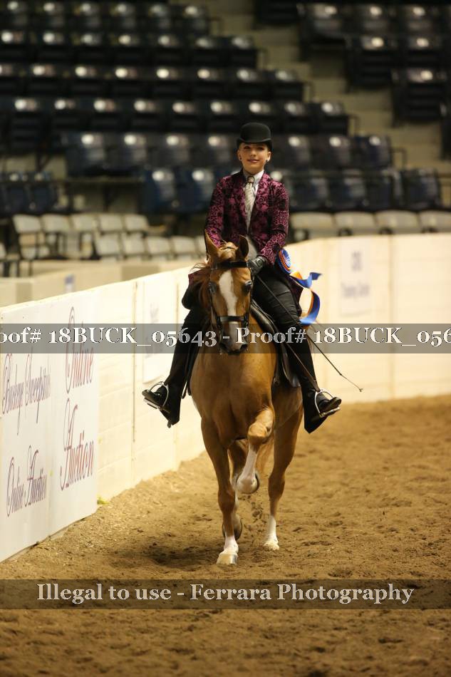 Proof 18BUCK_05643