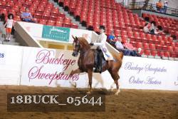 18BUCK_05644 proof