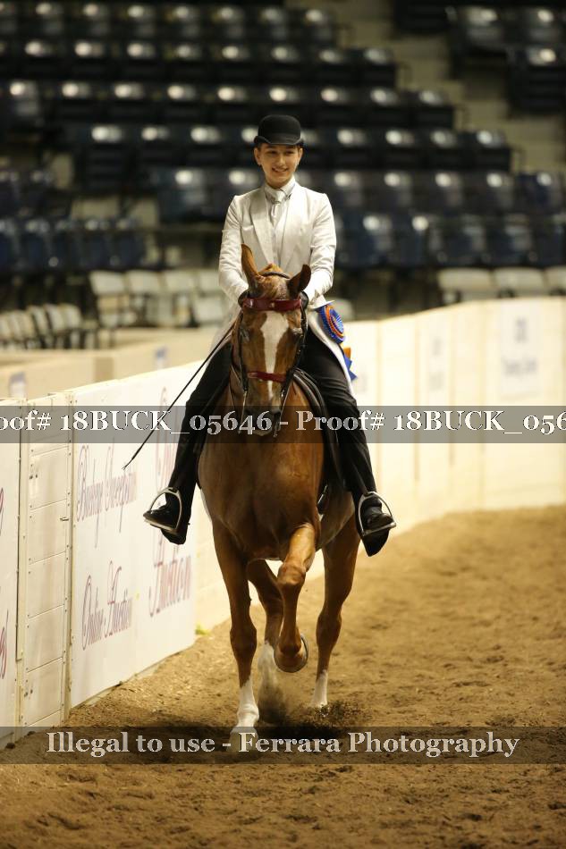 Proof 18BUCK_05646