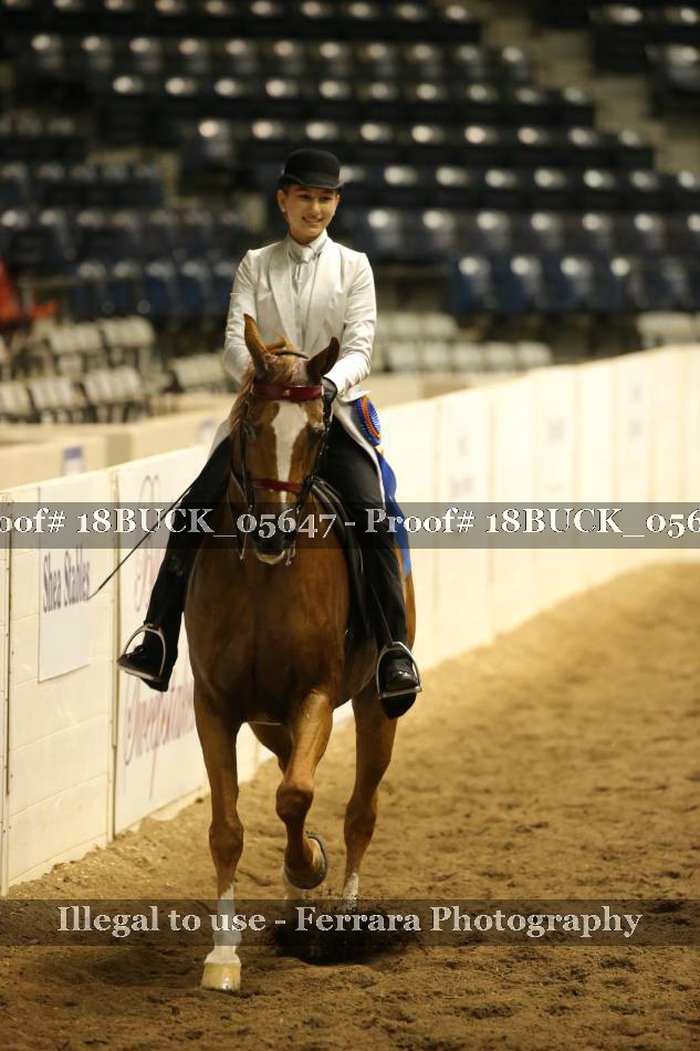 Proof 18BUCK_05647