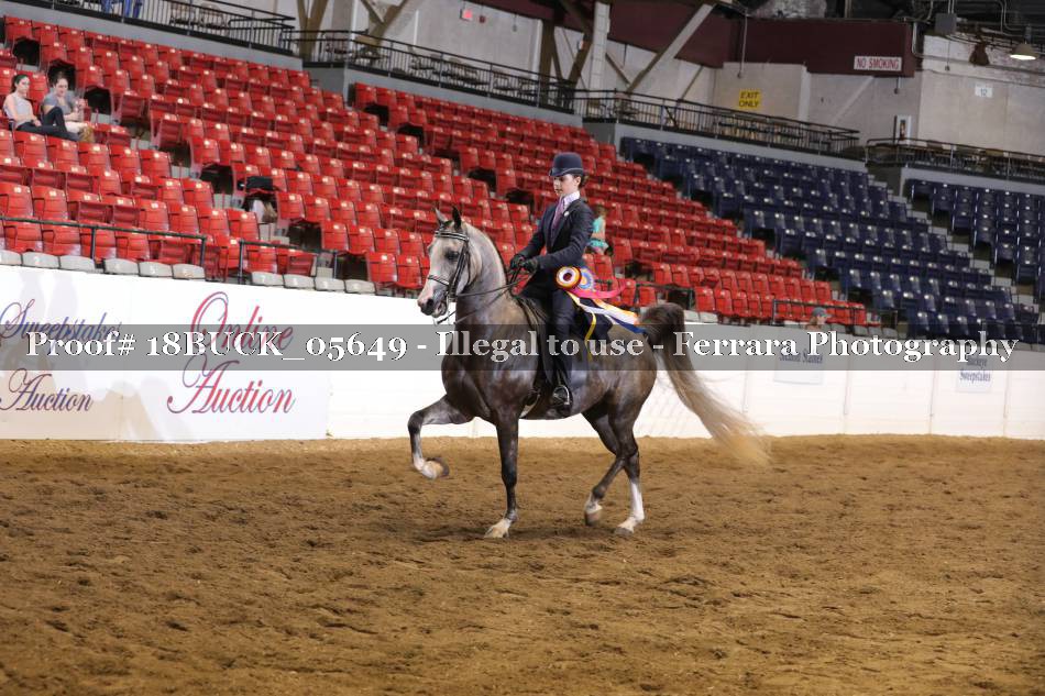Proof 18BUCK_05649
