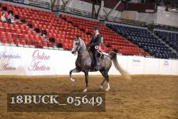 18BUCK_05649 proof