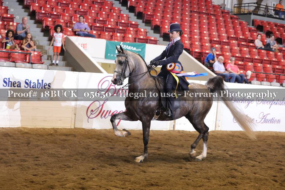 Proof 18BUCK_05650