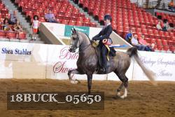 18BUCK_05650 proof