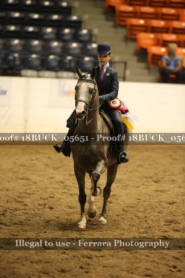 Proof 18BUCK_05651
