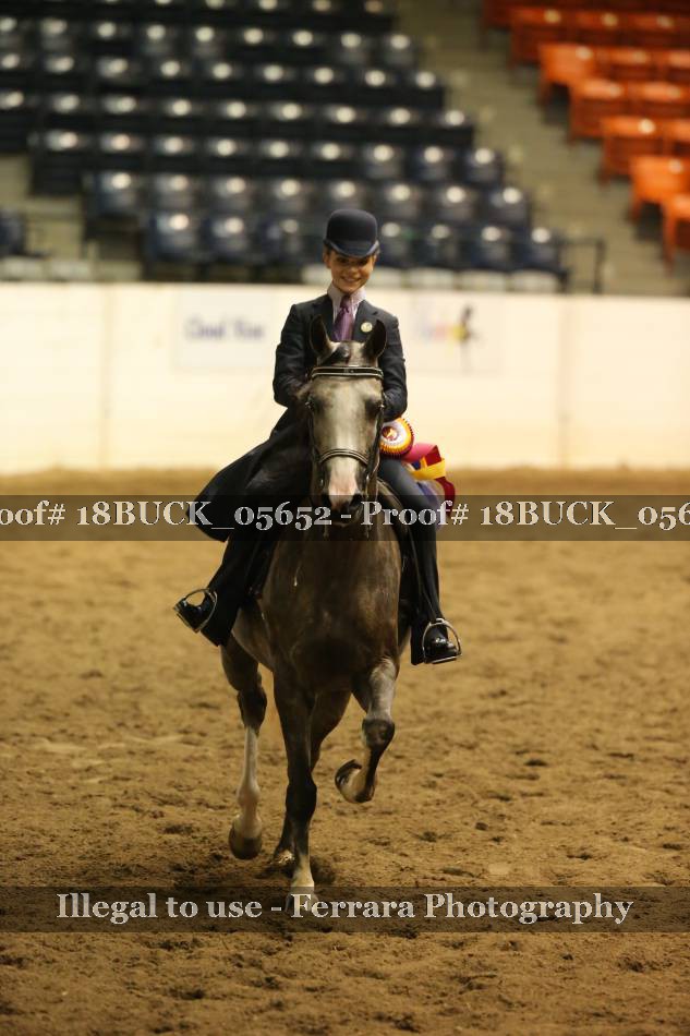 Proof 18BUCK_05652