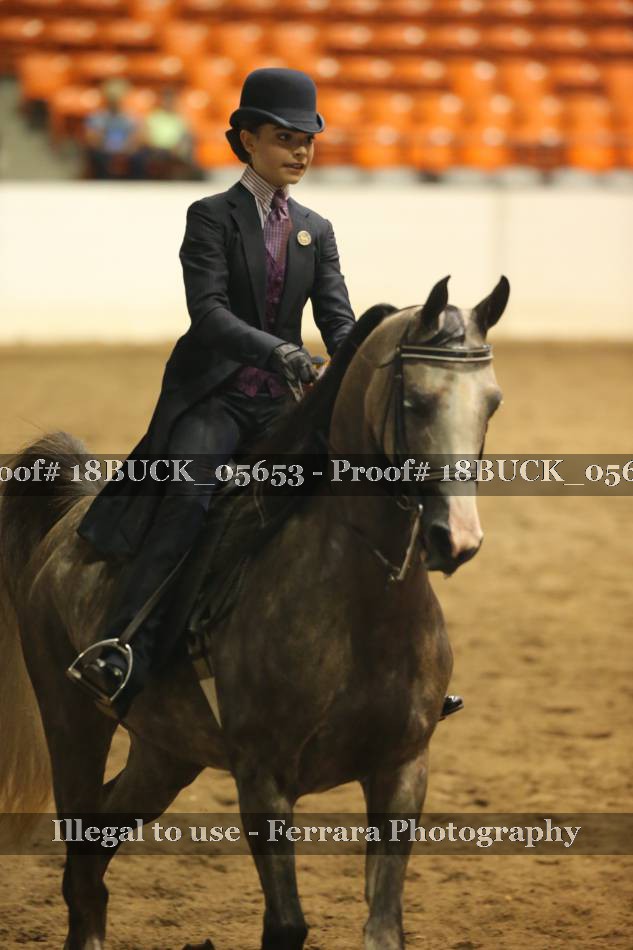 Proof 18BUCK_05653