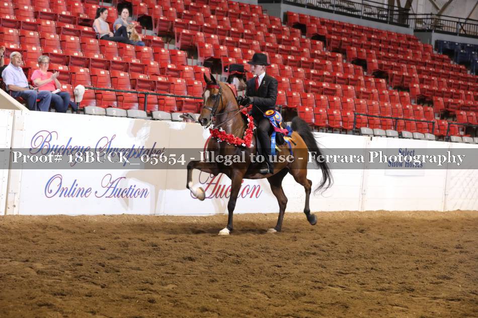 Proof 18BUCK_05654