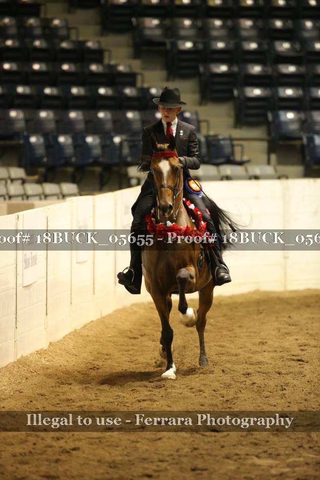 Proof 18BUCK_05655