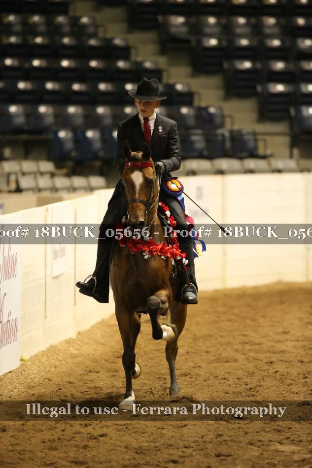 Proof 18BUCK_05656