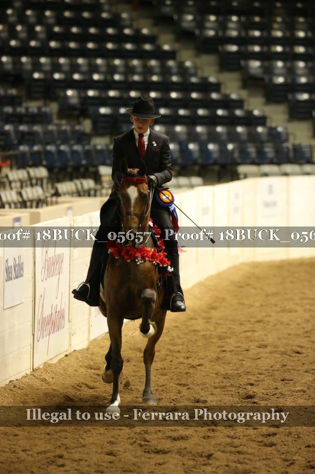 Proof 18BUCK_05657