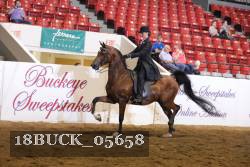 18BUCK_05658 proof