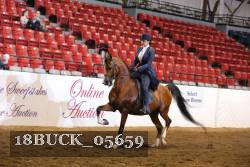 18BUCK_05659 proof