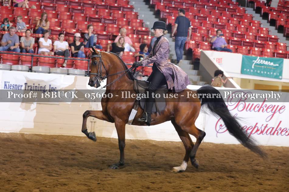 Proof 18BUCK_05660