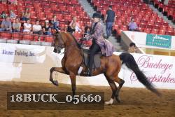 18BUCK_05660 proof