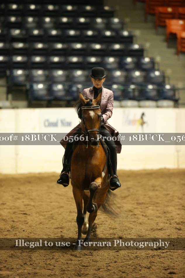 Proof 18BUCK_05661