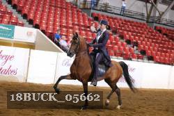 18BUCK_05662 proof