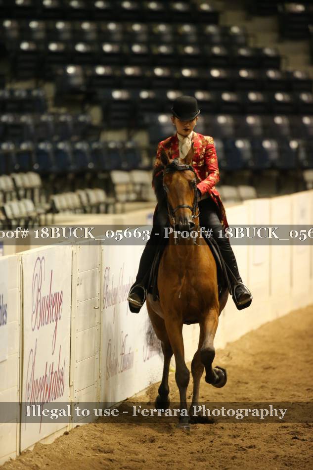 Proof 18BUCK_05663