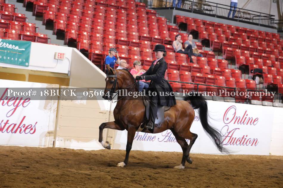 Proof 18BUCK_05664