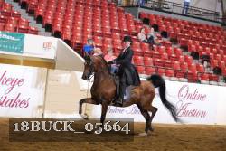 18BUCK_05664 proof