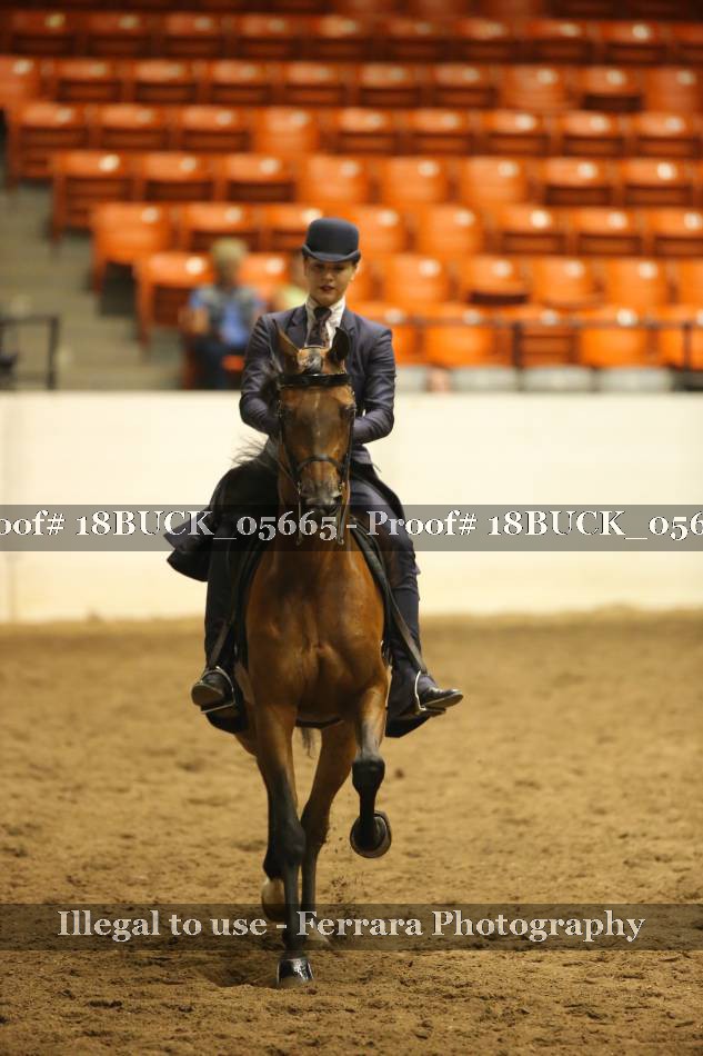 Proof 18BUCK_05665