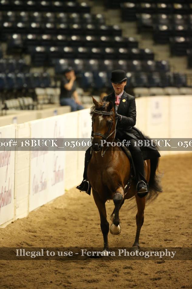 Proof 18BUCK_05666