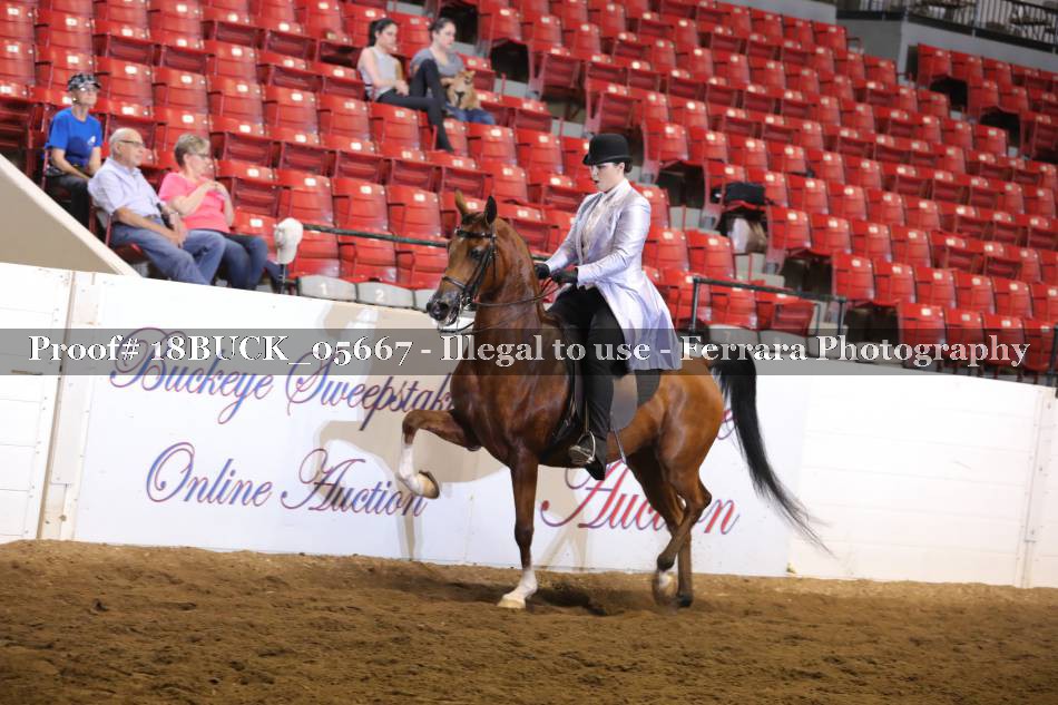Proof 18BUCK_05667