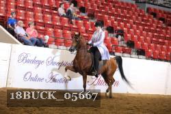 18BUCK_05667 proof
