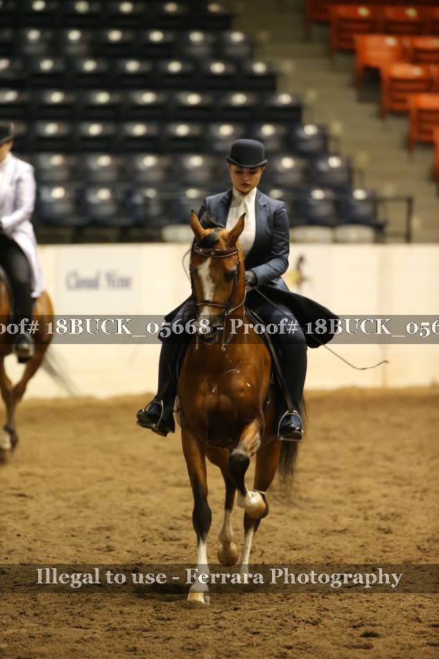 Proof 18BUCK_05668