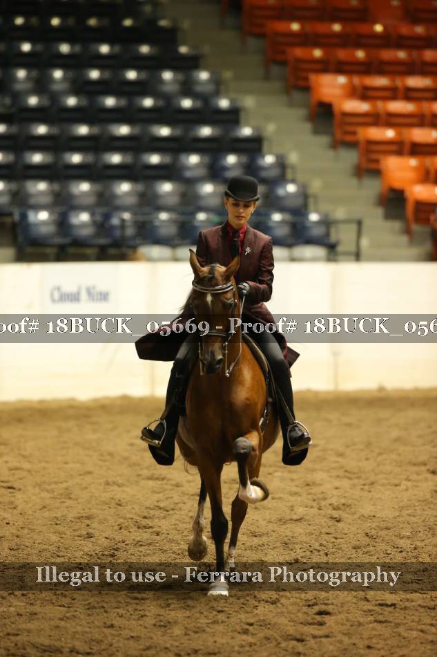 Proof 18BUCK_05669