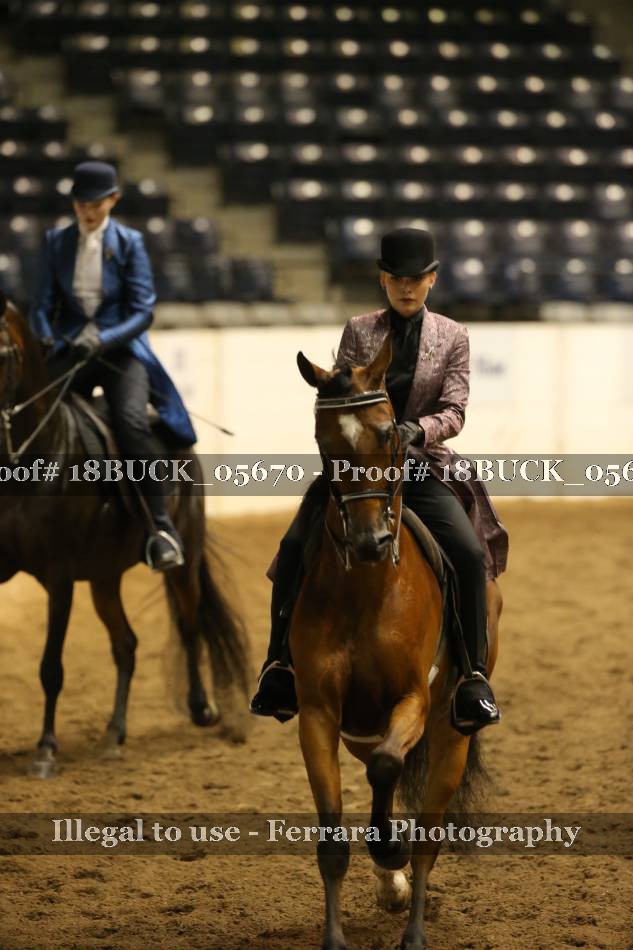 Proof 18BUCK_05670