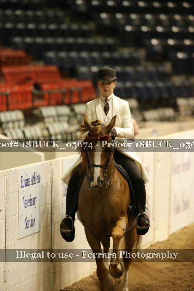Proof 18BUCK_05674