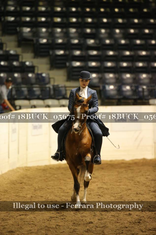 Proof 18BUCK_05675
